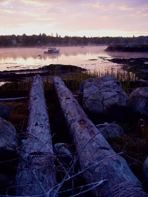 Damariscotta Harbor, early morning