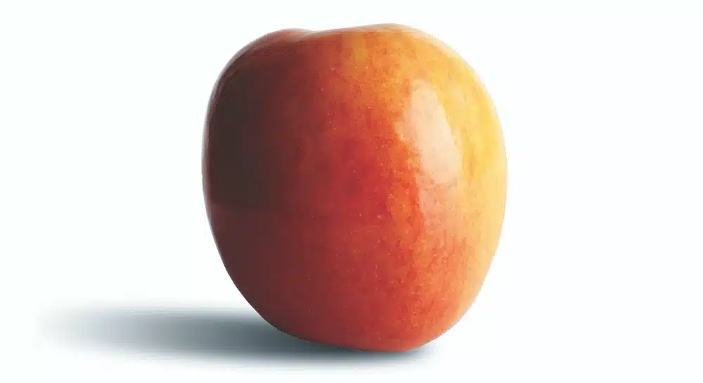 Jazz Apple