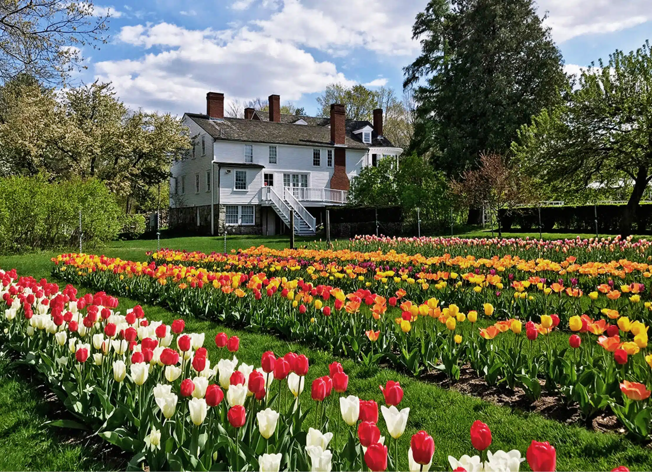 9 Ways to Usher in Spring Just North of Boston