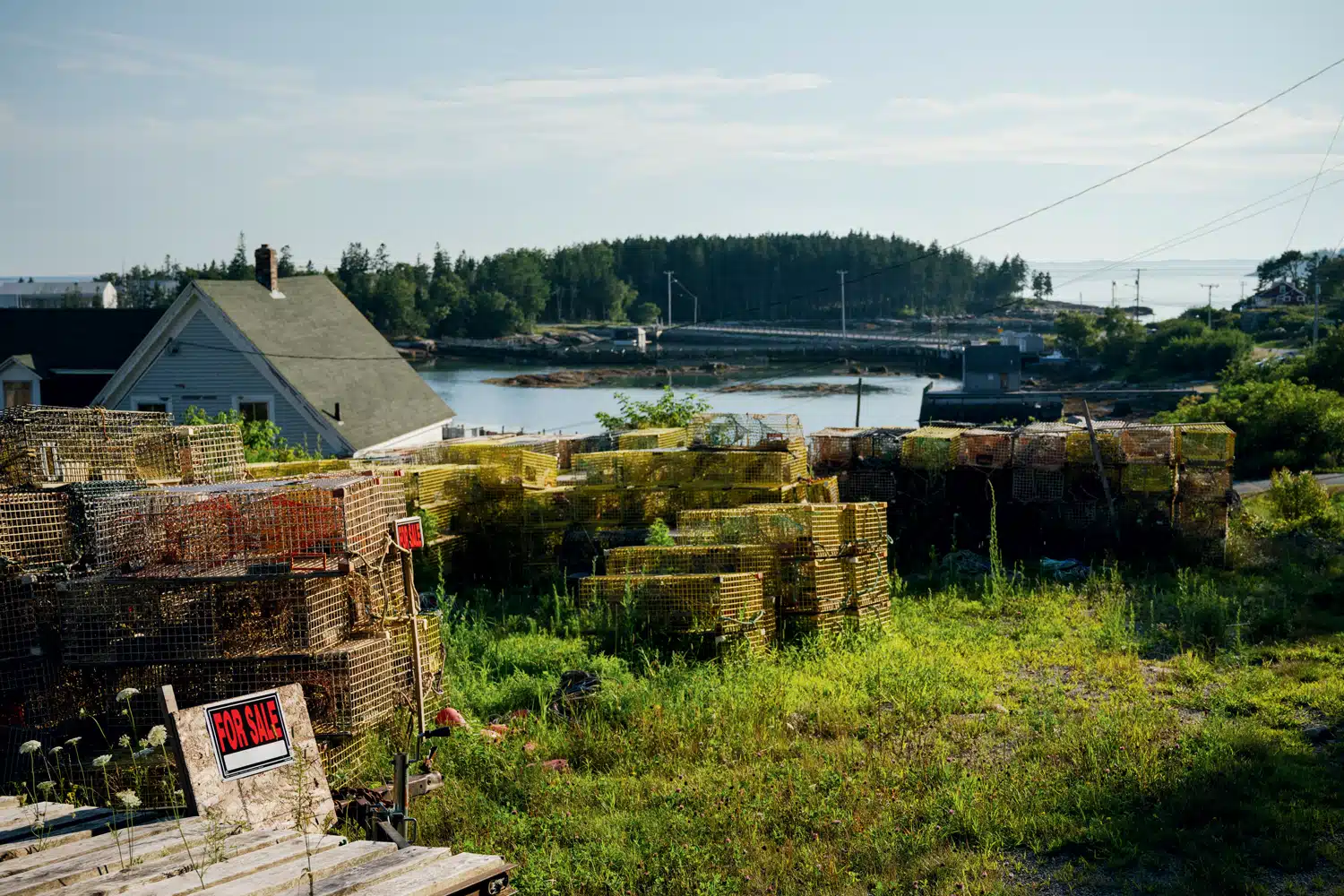 The Lobster Trap: Can Stonington, Maine, Survive the Tide of Change?